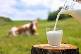 Milky Games